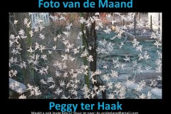 Foto-van-da-maand-Februari-24