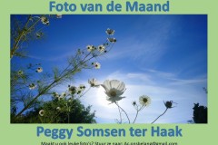 foto-vd-maand-November-22