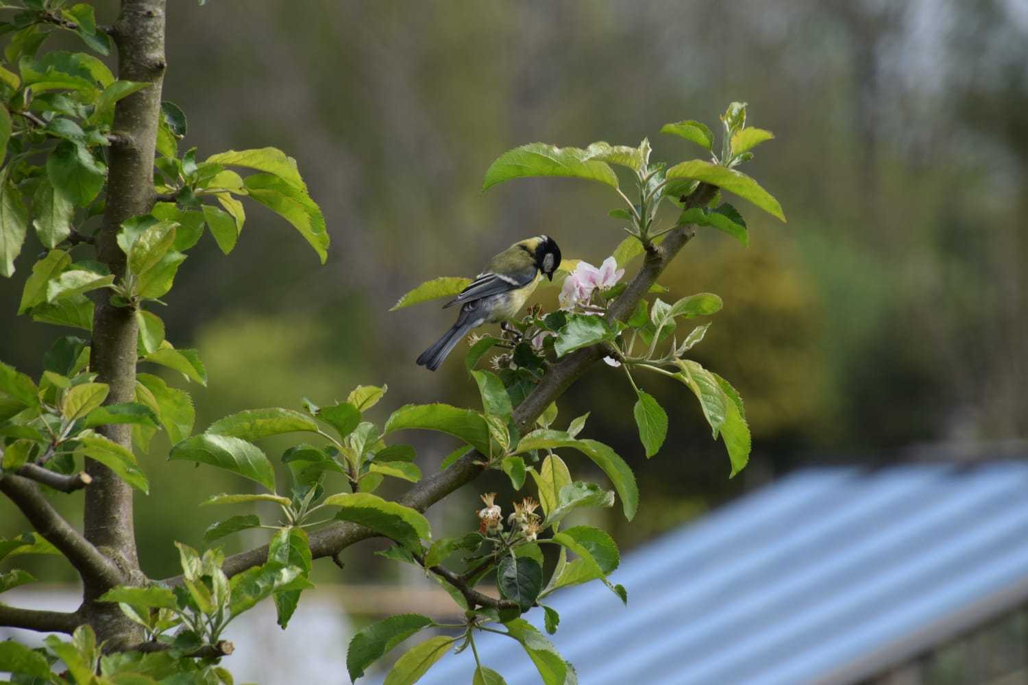 IMG-20210513-WA0013
