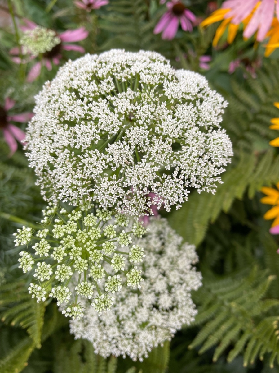 image17